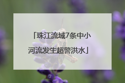 珠江流域7条中小河流发生超警洪水