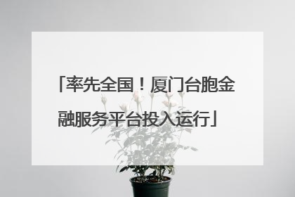 率先全国！厦门台胞金融服务平台投入运行