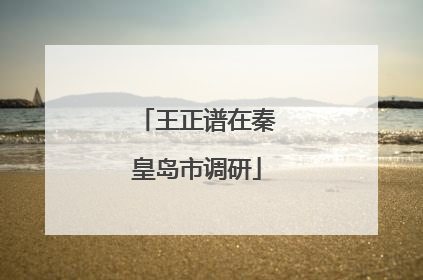 王正谱在秦皇岛市调研