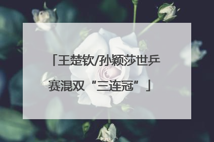 王楚钦/孙颖莎世乒赛混双“三连冠”