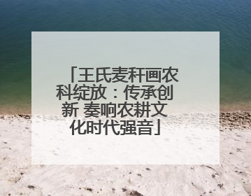 王氏麦秆画农科绽放：传承创新 奏响农耕文化时代强音