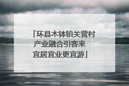 环县木钵镇关营村 产业融合引客来 宜居宜业更宜游