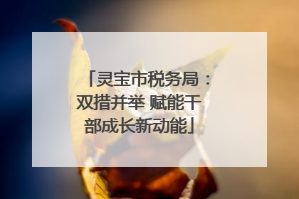 灵宝市税务局：双措并举 赋能干部成长新动能