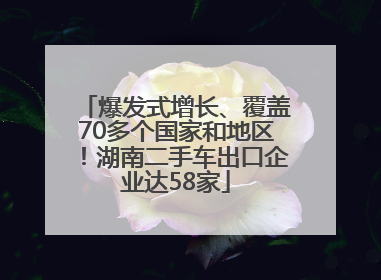 爆发式增长、覆盖70多个国家和地区！湖南二手车出口企业达58家