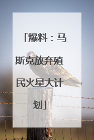 爆料：马斯克放弃殖民火星大计划