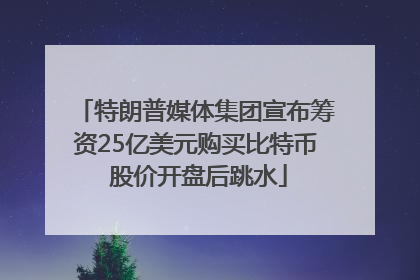 特朗普媒体集团宣布筹资25亿美元购买比特币 股价开盘后跳水