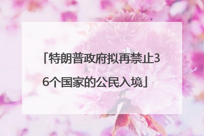 特朗普政府拟再禁止36个国家的公民入境