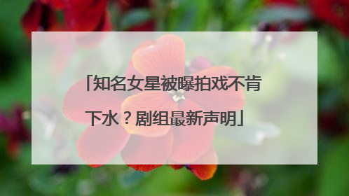 知名女星被曝拍戏不肯下水？剧组最新声明