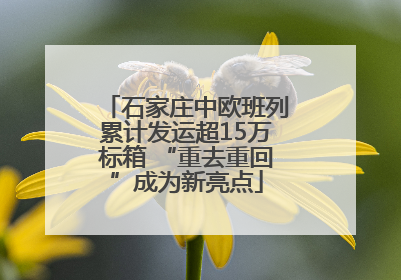 石家庄中欧班列累计发运超15万标箱 “重去重回”成为新亮点