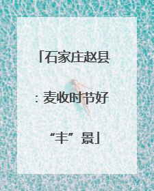 石家庄赵县：麦收时节好“丰”景
