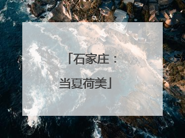 石家庄：当夏荷美