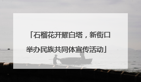 石榴花开耀白塔，新街口举办民族共同体宣传活动