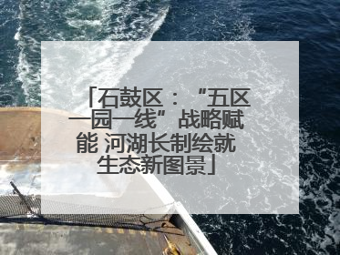 石鼓区：“五区一园一线”战略赋能 河湖长制绘就生态新图景
