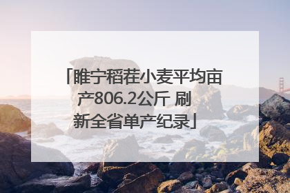 睢宁稻茬小麦平均亩产806.2公斤 刷新全省单产纪录