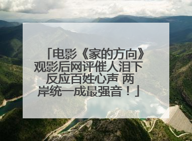电影《家的方向》观影后网评催人泪下 反应百姓心声 两岸统一成最强音！