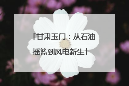 甘肃玉门：从石油摇篮到风电新生