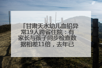 甘肃天水幼儿血铅异常19人跨省住院：有家长与孩子同步检查数据相差11倍，去年已有幼儿出现症状