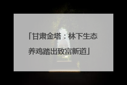 甘肃金塔：林下生态养鸡踏出致富新道