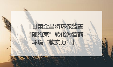 甘肃金昌将环保监管“硬约束”转化为营商环境“软实力”
