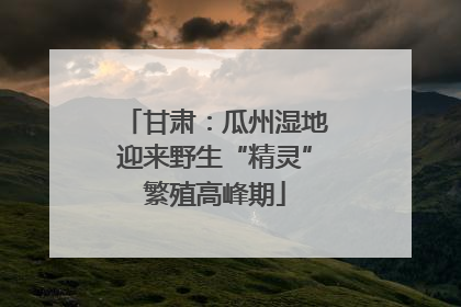 甘肃：瓜州湿地迎来野生“精灵”繁殖高峰期
