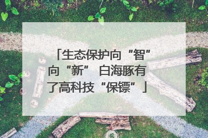 生态保护向“智”向“新” 白海豚有了高科技“保镖”