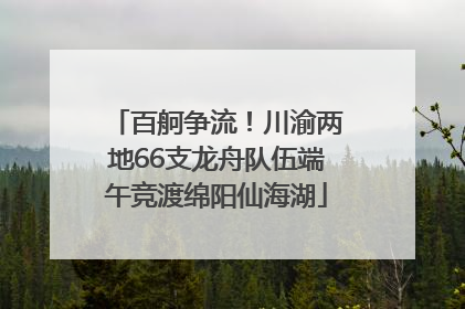 百舸争流！川渝两地66支龙舟队伍端午竞渡绵阳仙海湖