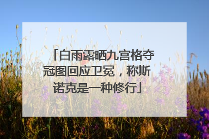 白雨露晒九宫格夺冠图回应卫冕，称斯诺克是一种修行