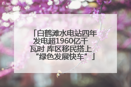 白鹤滩水电站四年发电超1960亿千瓦时 库区移民搭上“绿色发展快车”