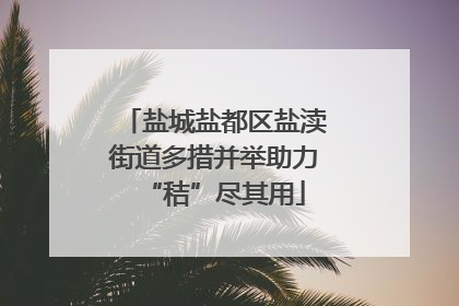 盐城盐都区盐渎街道多措并举助力“秸”尽其用
