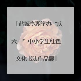 盐城亭湖举办“庆六一”中小学生红色文化书法作品展