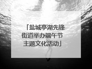 盐城亭湖先锋街道举办端午节主题文化活动