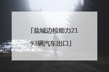 盐城边检助力2193辆汽车出口