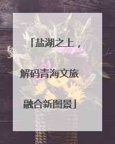 盐湖之上，解码青海文旅融合新图景