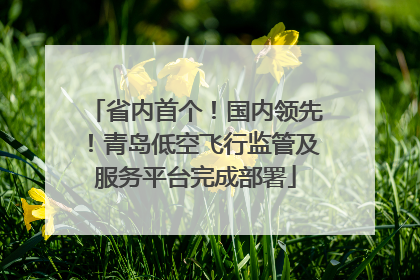 省内首个！国内领先！青岛低空飞行监管及服务平台完成部署
