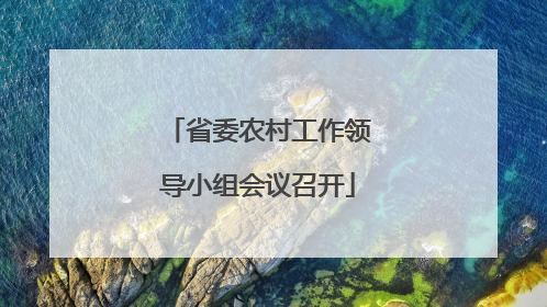 省委农村工作领导小组会议召开