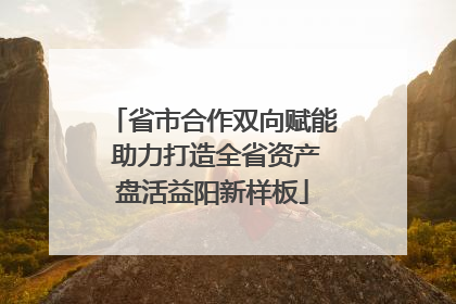 省市合作双向赋能 助力打造全省资产盘活益阳新样板