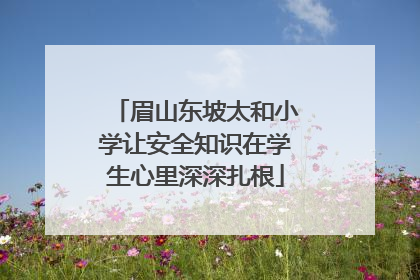 眉山东坡太和小学让安全知识在学生心里深深扎根