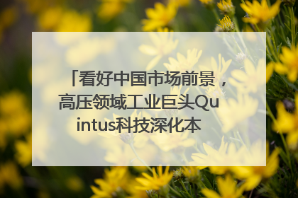 看好中国市场前景，高压领域工业巨头Quintus科技深化本土策略，构建全方位服务亚太区总部