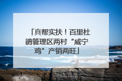 真帮实扶！百里杜鹃管理区两村“威宁鸡”产销两旺