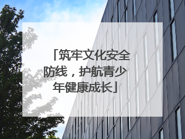 筑牢文化安全防线，护航青少年健康成长