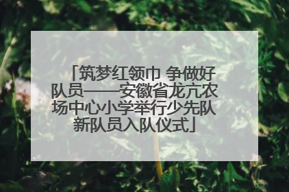 筑梦红领巾 争做好队员——安徽省龙亢农场中心小学举行少先队新队员入队仪式