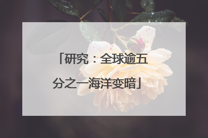 研究：全球逾五分之一海洋变暗