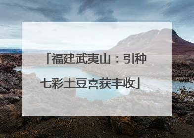 福建武夷山：引种七彩土豆喜获丰收