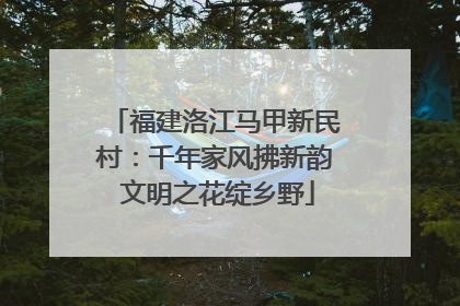 福建洛江马甲新民村：千年家风拂新韵 文明之花绽乡野