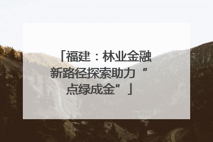 福建：林业金融新路径探索助力“点绿成金”