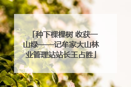 种下棵棵树 收获一山绿——记牟家大山林业管理站站长王占胜