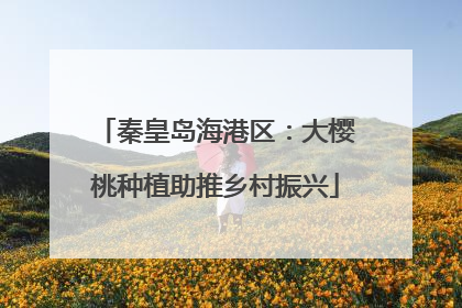 秦皇岛海港区：大樱桃种植助推乡村振兴