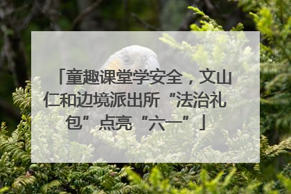 童趣课堂学安全，文山仁和边境派出所“法治礼包”点亮“六一”