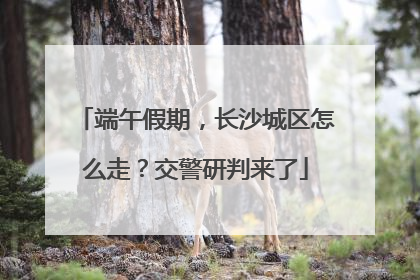 端午假期，长沙城区怎么走？交警研判来了