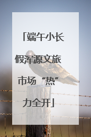 端午小长假浑源文旅市场“热”力全开